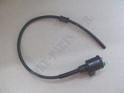 IGN.COIL ASSY
