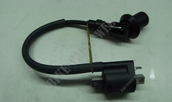 IGN. COIL ASSY