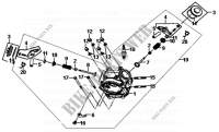 CILINDRO TESTATA per SYM ORBIT II (25 KMH) 50 (AE05W1-6) (K9-L5) 2013