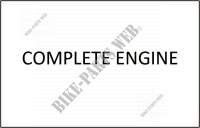 MOTORE COMPLETO per SYM GTS 125I (LN12W2-FR) (L4) 2014